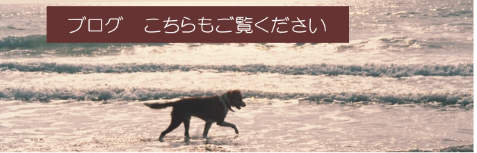 ブログ　こちらもご覧ください　 
